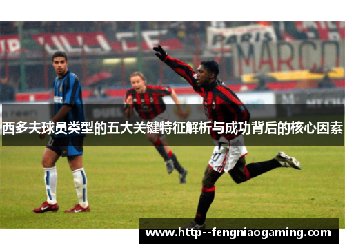 西多夫球员类型的五大关键特征解析与成功背后的核心因素