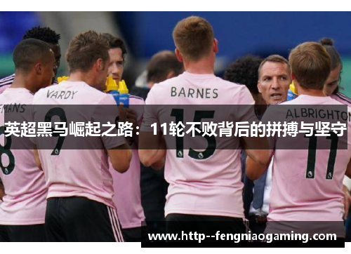 英超黑马崛起之路:11轮不败背后的拼搏与坚守 英超黑马崛起之路:11轮不败背后的拼搏与坚守