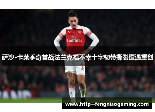 萨沙·卡莱季奇首战法兰克福不幸十字韧带撕裂遭遇重创 萨沙·卡莱季奇首战法兰克福不幸十字韧带撕裂遭遇重创