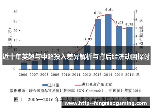 近十年英超与中超投入差异解析与背后经济动因探讨