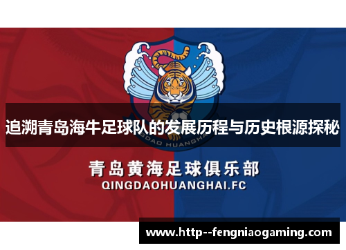 追溯青岛海牛足球队的发展历程与历史根源探秘