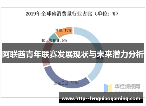 阿联酋青年联赛发展现状与未来潜力分析