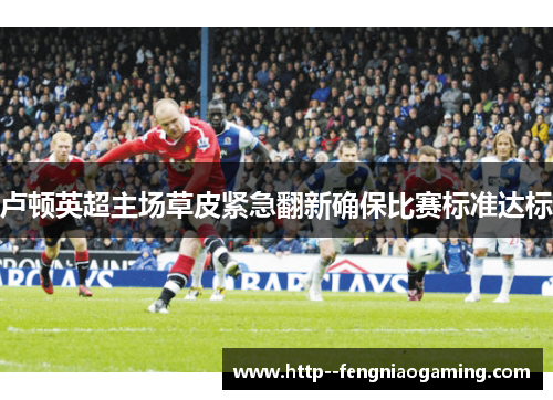 卢顿英超主场草皮紧急翻新确保比赛标准达标 卢顿英超主场草皮紧急翻新确保比赛标准达标