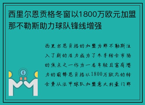 西里尔恩贡格冬窗以1800万欧元加盟那不勒斯助力球队锋线增强